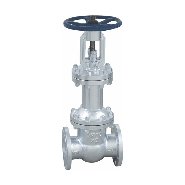 BELLOW LANGO VALVE