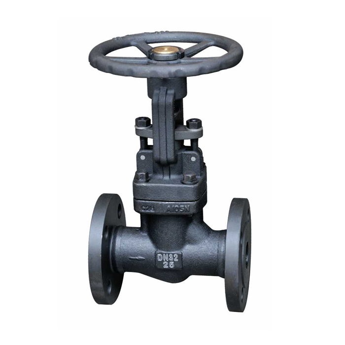 Valve ya Chuma ya Kughushi ya API 602