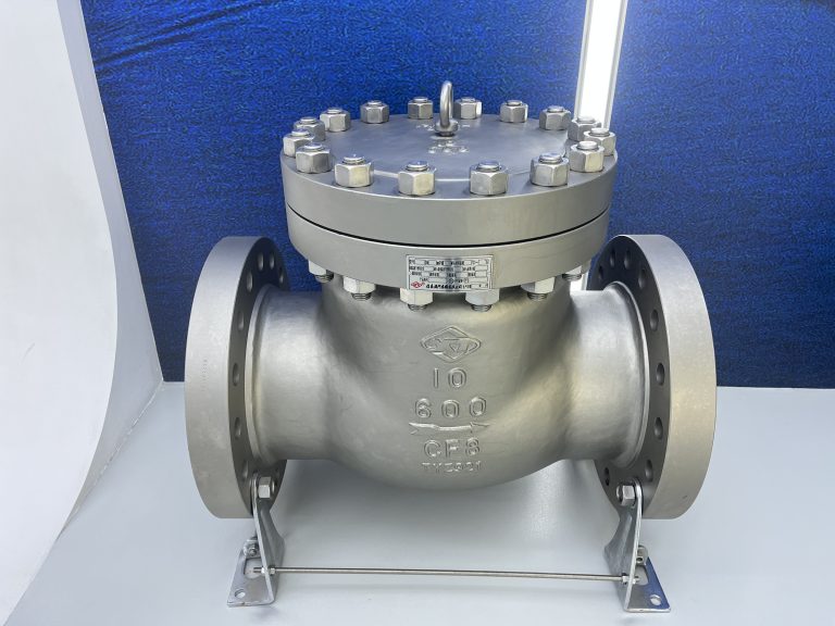 valve ya kuangalia chuma cha pua