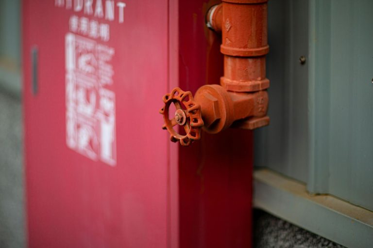 Bomba la chuma nyekundu na valves za kuangalia flange